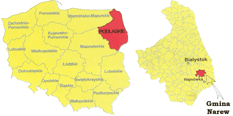 gmina narew położenie